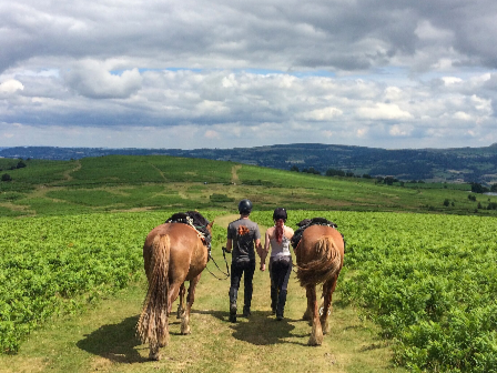 Welsh Border 4 Day Trail